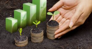 Investment | Ethical Investment | UK Investors | Sustainability Funds